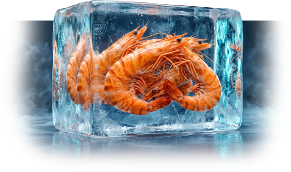 FreshToGo! pack, nitrogen frozen